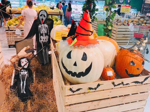 Phát cuồng với bí ngô Halloween khổng lồ lần đầu được trồng ngay tại Việt Nam