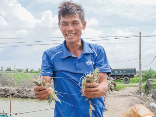 Xuất khẩu tôm phục hồi, nhưng vẫn cần thận trọng!