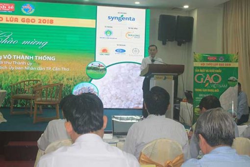 Tăng cường liên kết, thúc đẩy phát triển bền vững ngành lúa gạo Việt Nam