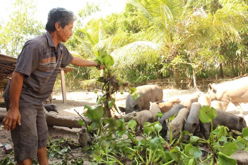 Cựu chiến binh thi đua gương mẫu