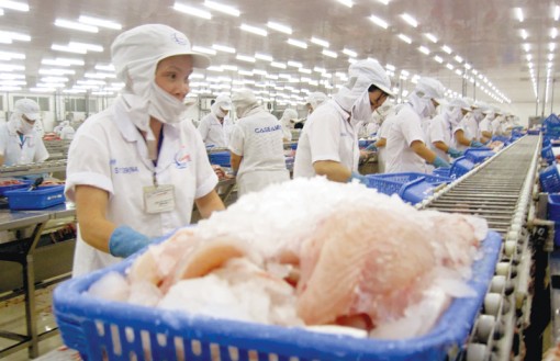 “Rộng cửa” cho xuất khẩu cá tra