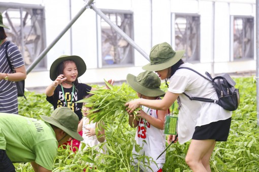 VinEco lọt Top 10 Công ty uy tín ngành thực phẩm - đồ uống 2018