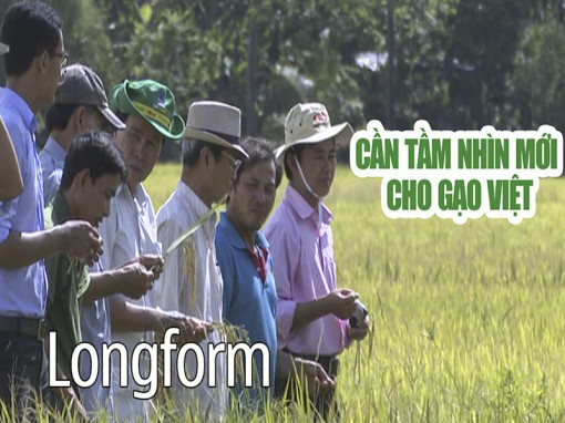 Cần tầm nhìn mới cho gạo Việt