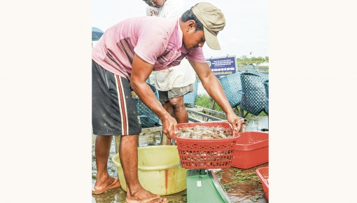 Kết nối, thúc đẩy

ứng dụng công nghệ sinh học vào đời sống