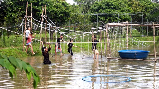 Về quê đúng chất vườn trái cây Bà Hiệp