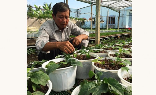 Nông dân Bình Thủy xuống giống

hơn 650.000 giỏ hoa phục vụ

Tết Nguyên đán 2019