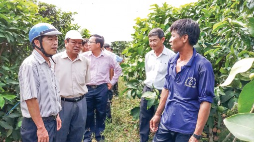 Thành công nhờ quyết tâm chuyển đổi mô hình sản xuất