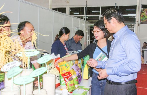 Đổi mới để phát triển