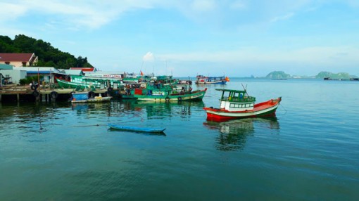 Thăm lại Sơn Hải