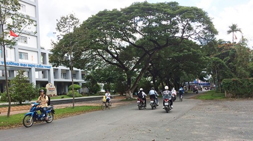 Đa dạng hình thức tuyên truyền

Luật Giao thông đường bộ