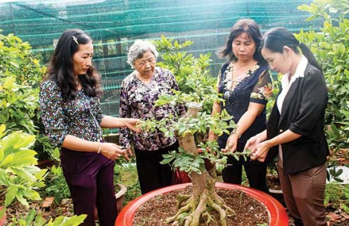 Hỗ trợ phụ nữ khởi sự kinh doanh