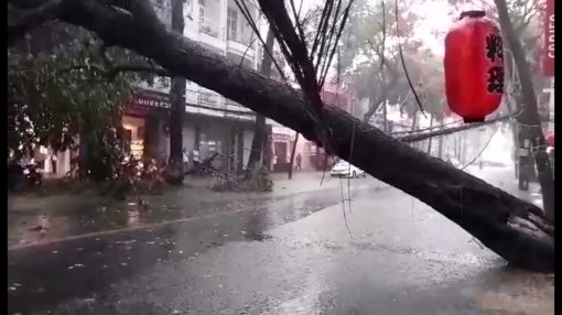 Khắc phục thiệt hại do mưa lớn, gió mạnh gây ra