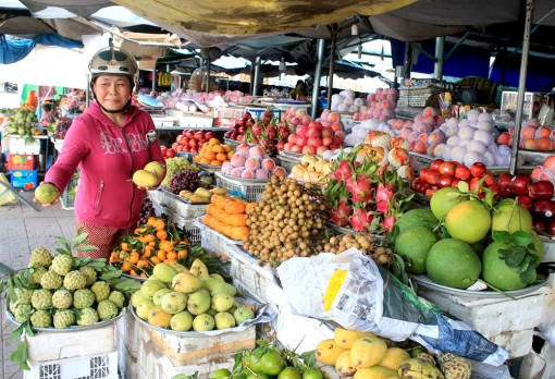 Vận động nông dân ưu tiên dùng hàng Việt Nam