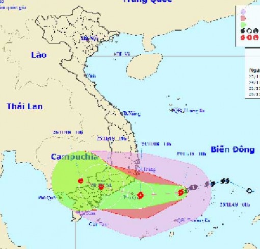 Khẩn trương triển khai các biện pháp phòng tránh bão số 9