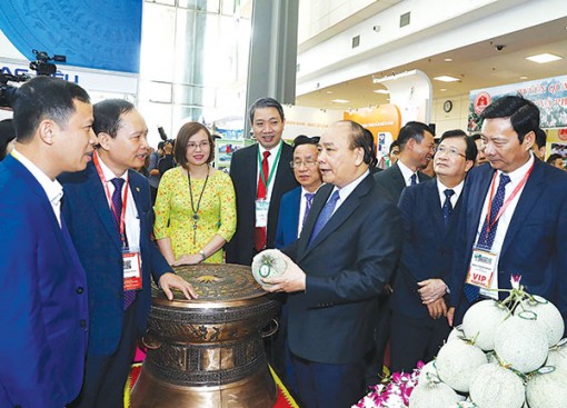 Nông nghiệp, nông dân và nông thôn đạt nhiều thành tựu to lớn