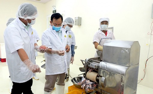 Hỗ trợ doanh nghiệp tăng năng suất, cải thiện chất lượng sản phẩm