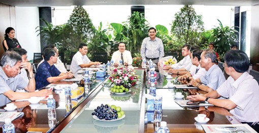 Tập đoàn Sao Mai sẽ đầu tư 2 dự án điện năng lượng mặt trời tại tỉnh Bến Tre