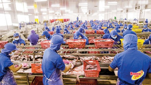 Vượt kế hoạch lợi nhuận cả năm sau 9 tháng, ASM góp mặt trong danh sách câu lạc bộ lãi nghìn tỉ