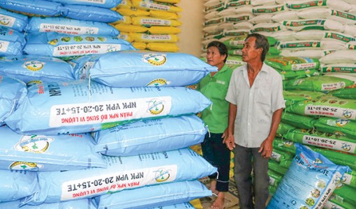 Thị trường phân bón: Giá giảm nhưng vẫn ở mức cao