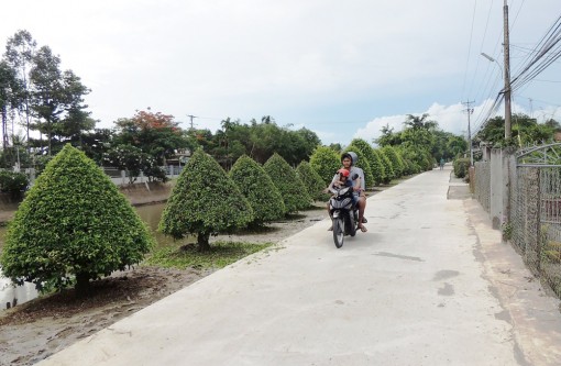 Kỳ vọng về huyện nông thôn mới Vĩnh Thạnh