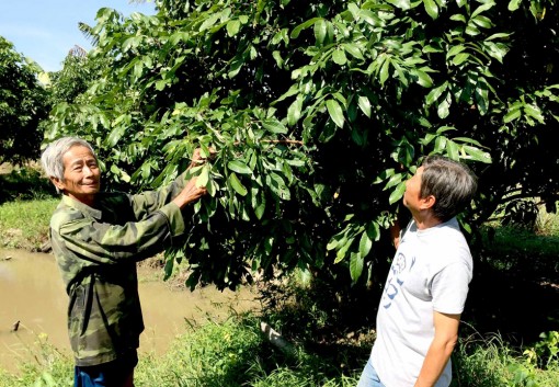 Ứng dụng tiến bộ kỹ thuật, nâng cao năng suất nhãn Idor