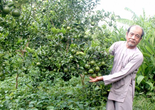 Mạnh dạn chuyển đổi cây trồng