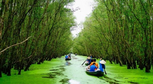 Sao Mai Trà Sư “mở mũi” xúc tiến du lịch sinh thái