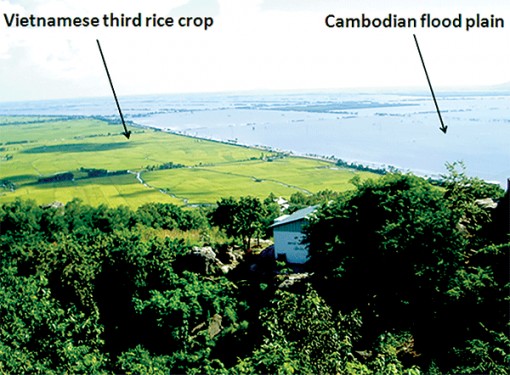 3 giải pháp để  ĐBSCL phát triển