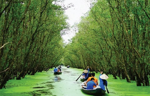 Sao mai Trà Sư “mở mũi” xúc tiến du lịch sinh thái