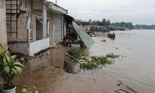 Để phát triển bền vững Đồng bằng sông Cửu Long