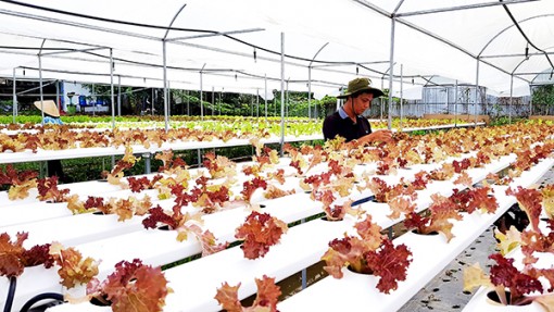 Đảm bảo cơ cấu tín dụng hợp lý