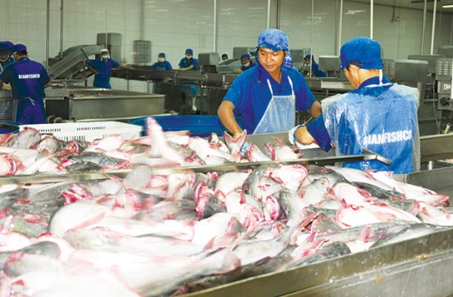 Tạo đà phát triển kinh tế - xã hội năm 2019