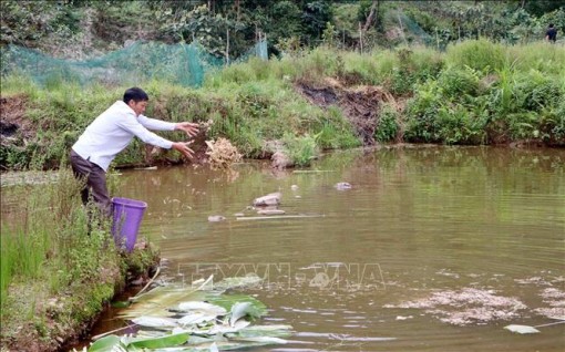 Tỷ lệ nghèo giữa các vùng miền và các nhóm dân tộc giảm còn hơn 9%