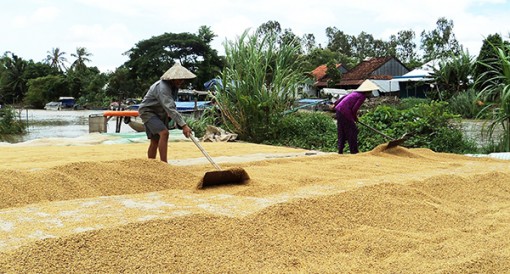 Nâng cao chất lượng xã văn hóa nông thôn mới Trường Xuân B
