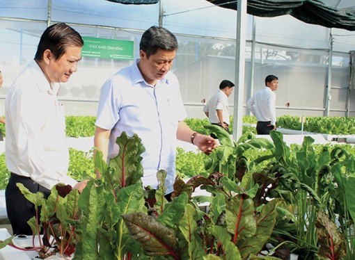 Đoàn kết, năng động, sáng tạo 

đưa Bình Thủy tăng tốc phát triển