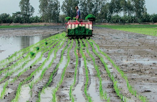 Đẩy mạnh cơ giới hóa, điện khí hóa trong sản xuất