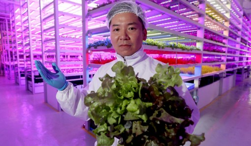 Nông nghiệp 4.0 ở Hồng Công