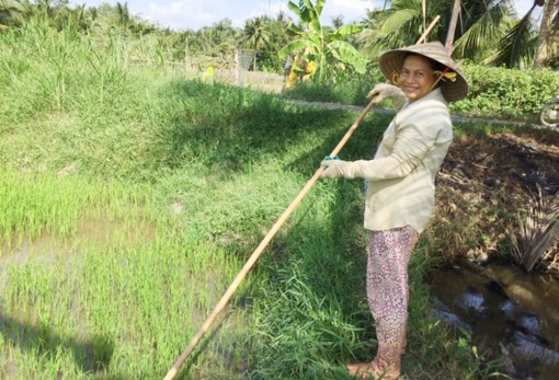 ពូ​កែ​រក​ស៊ី ដូច​ប្តី​ប្រ​ពន្ធ​បង​ស្រី​ថា