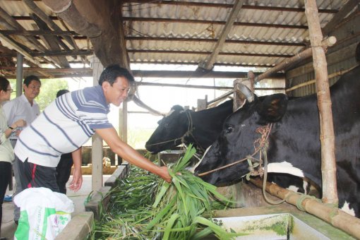 ប្រ​សិទ្ធ​ភាព​នៃ​កម្ម​វិ​ធី​១៣៥