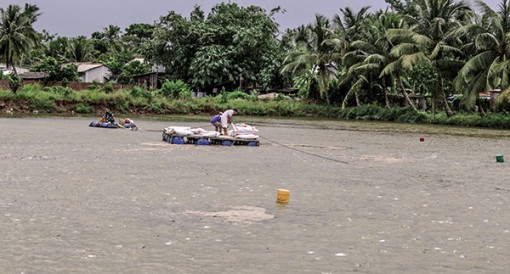 Quan trắc môi trường -

Khâu then chốt phát triển thủy sản