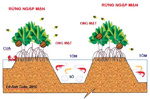 Nhiều việc cần làm ngay