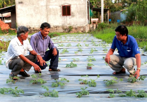 Giúp dân nâng cao mức sống