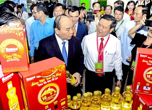 Đường băng mùa xuân đưa An Giang cất cánh