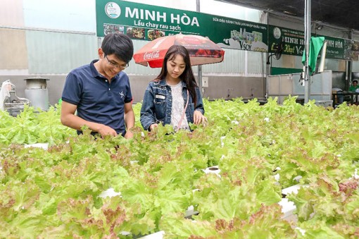 Nâng tầm du lịch canh nông!