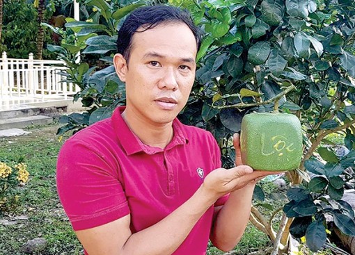 Trái cây tạo hình chưa thể vươn xa