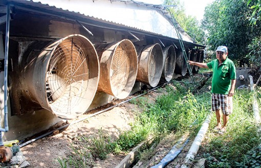 Chăn nuôi heo

gây ô nhiễm môi trường