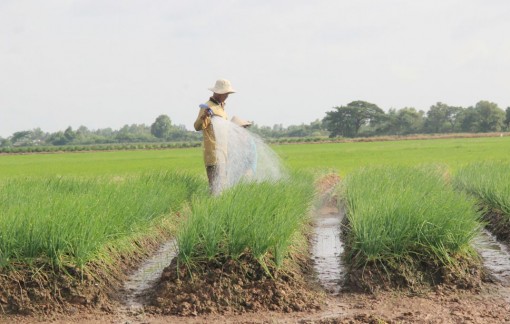 ភាព​ផ្លាស់​ថ្មី​នៅ​សា​ភៀង