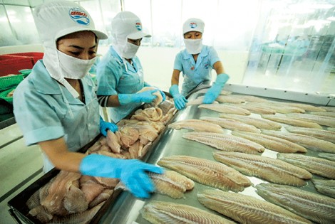 Thị trường xuất khẩu cá tra chuyển động lạc quan