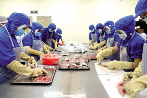 Nâng cao giá trị

ngành thực phẩm chế biến