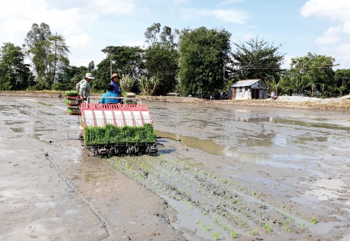 Nâng cao giá trị sản xuất nông nghiệp